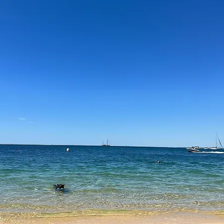 Bellavista Modern Comfort, 3 Balcony, Family With Wi-fi דירה אלבופיירה